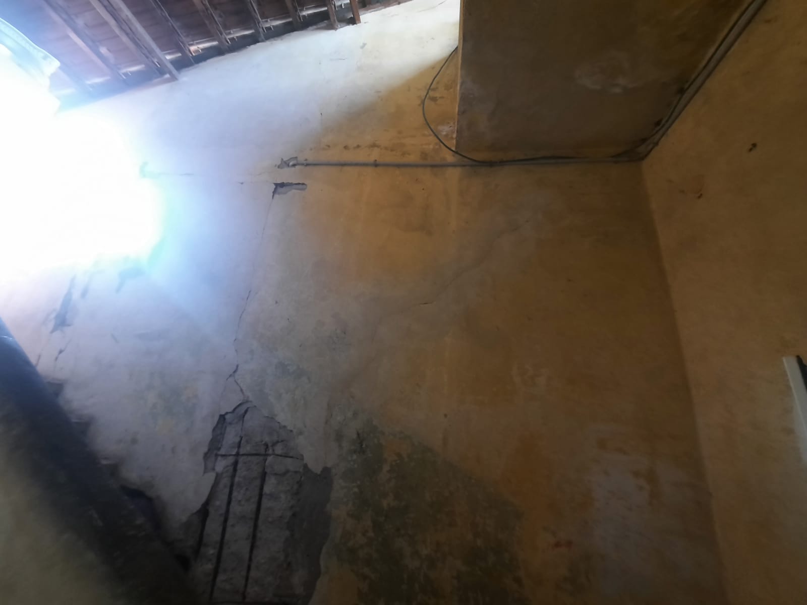 WhatsApp Image 2022-01-03 at 12.22.58 PM (1).jpeg